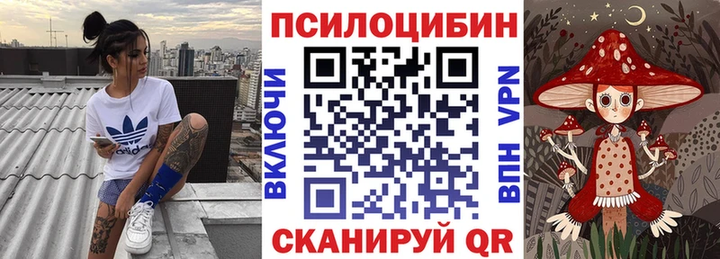 где продают наркотики Шелехов Галлюциногенные грибы GOLDEN TEACHER